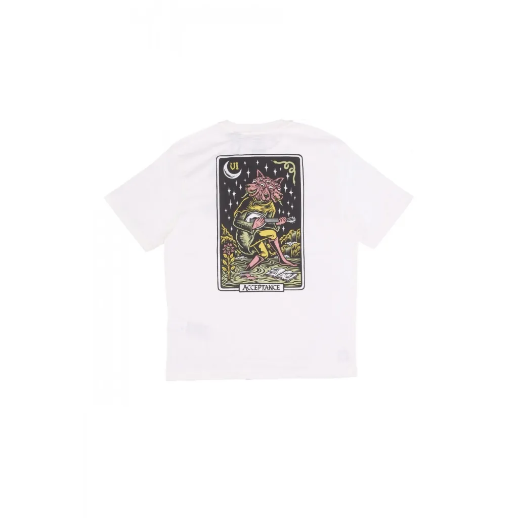 maglietta uomo acceptan tee x timber EGRET