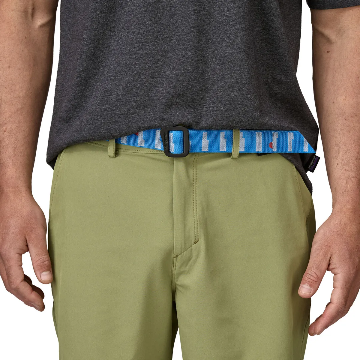 Patagonia Friction Belt