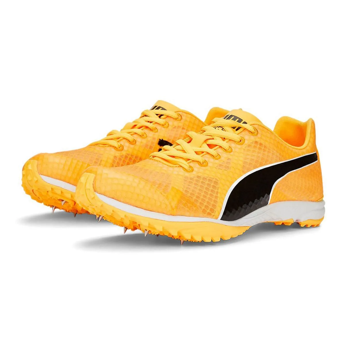     PUMA EVOSPEED HARAKA 7  