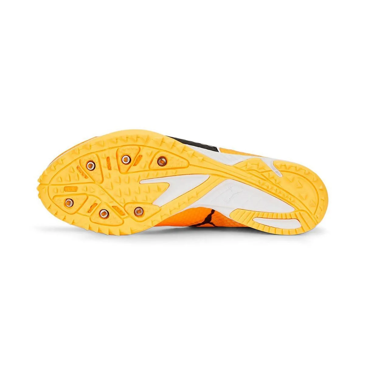      PUMA EVOSPEED HARAKA 7  