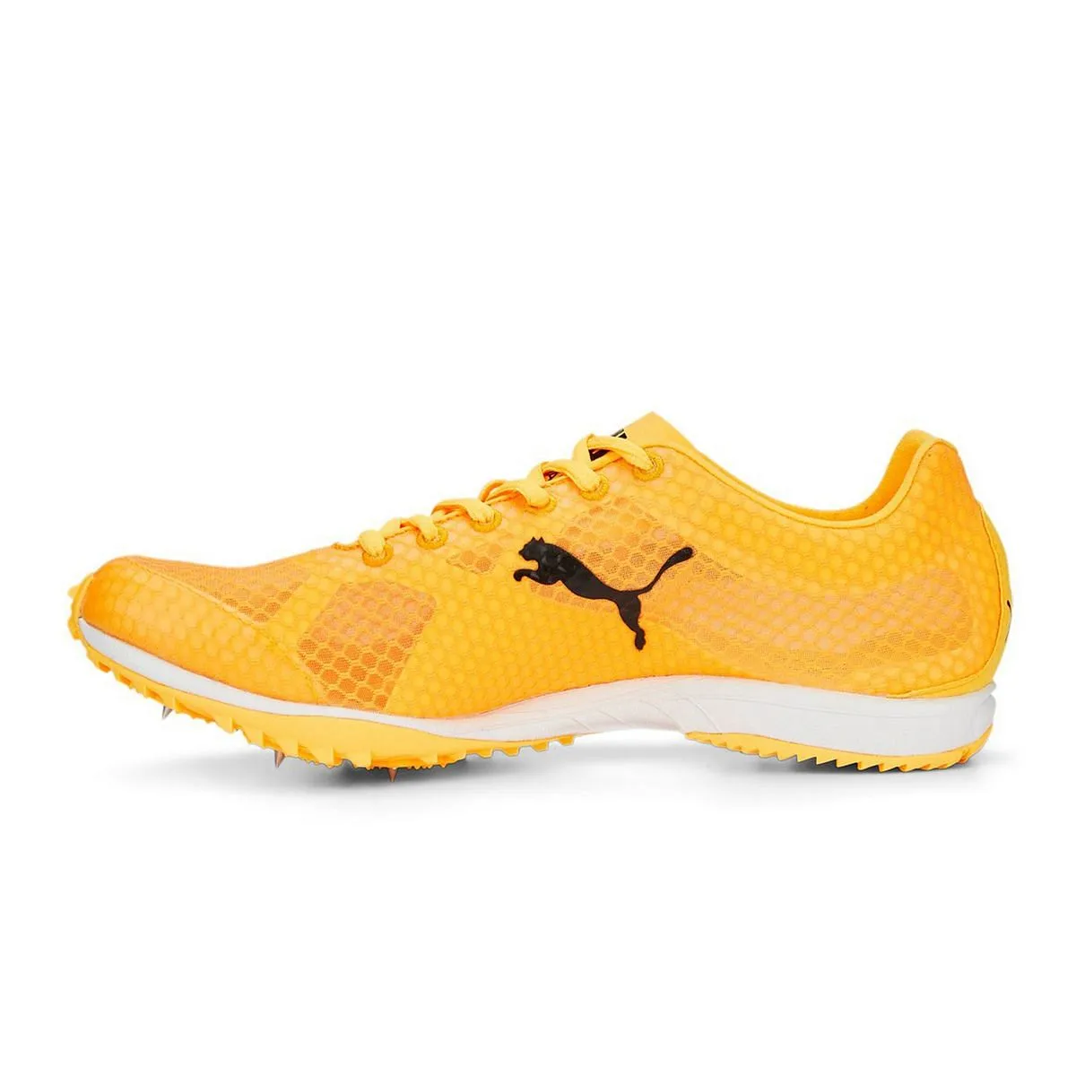      PUMA EVOSPEED HARAKA 7  
